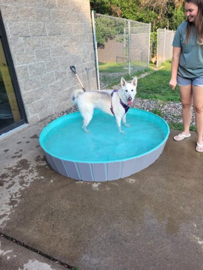 Steinmetz Stay and Play LLC - Farmington, MN