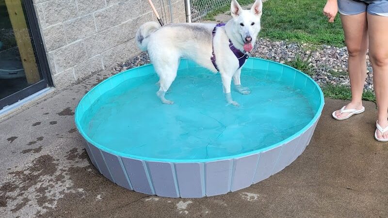 Steinmetz Stay and Play LLC - Farmington, MN