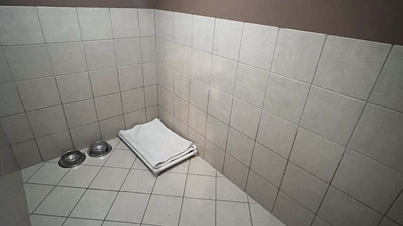 Steinmetz Stay and Play LLC - Farmington, MN