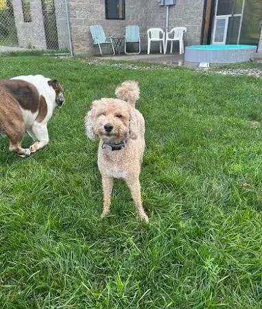 Steinmetz Stay and Play LLC - Farmington, MN