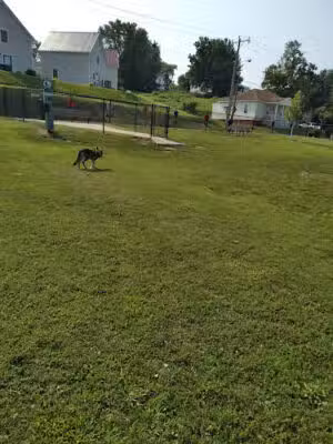 Dog Park - Farmville, VA