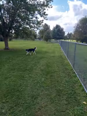 Off-Leash Dog Park @ Norlo Park - Fayetteville, PA