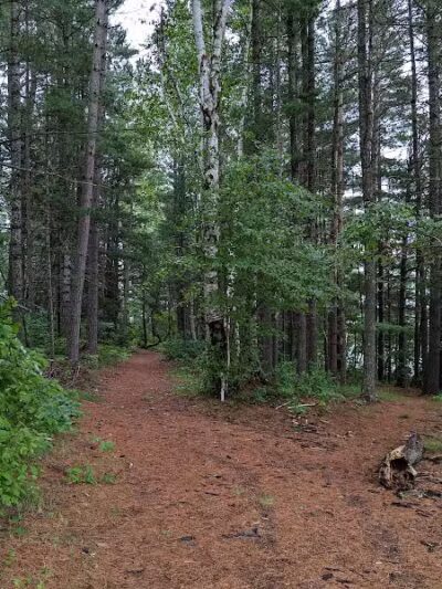 Genes Pond State Forest Campground - Felch,