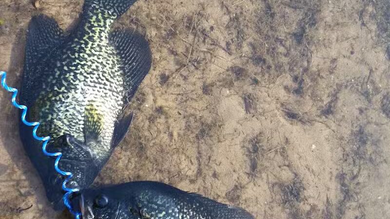 Sportsman's Paradise Resort - Felch,