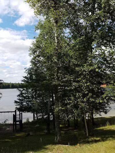 Sportsman's Paradise Resort - Felch,