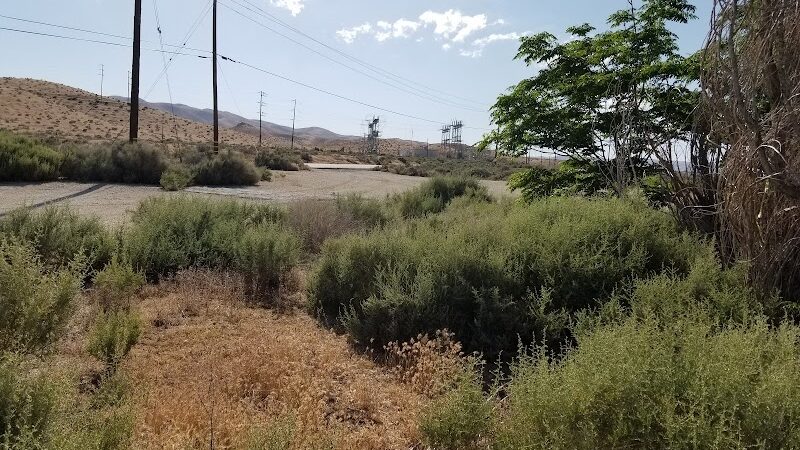 Fellows Park - Fellows, CA