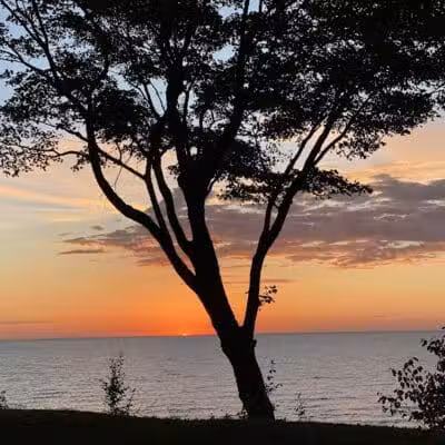 Sundown Park - Fennville,