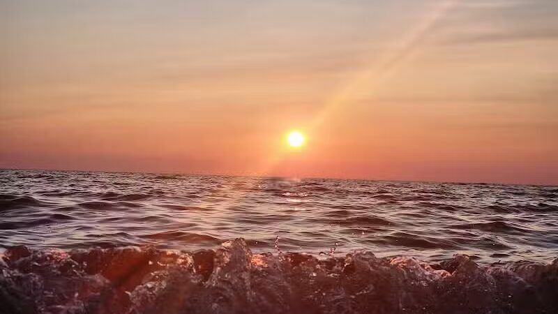 West Side County Park - Fennville,