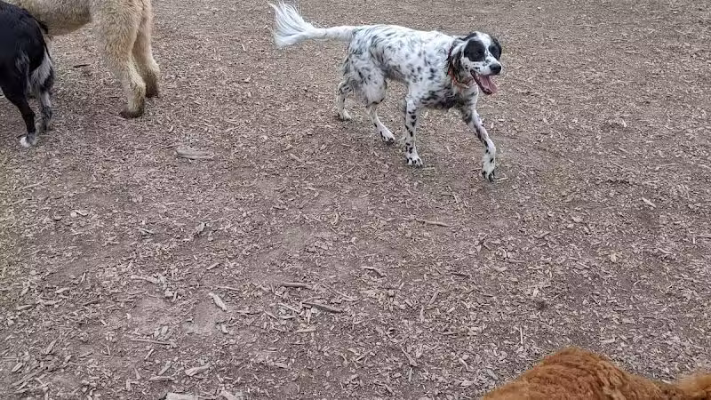 Thompson Road Regional Dog Park - Fenton, MI