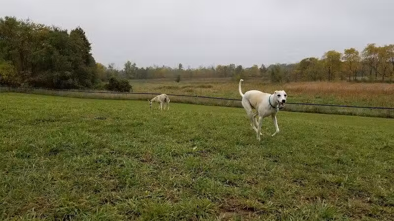 Thompson Road Regional Dog Park - Fenton, MI