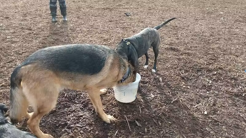 Thompson Road Regional Dog Park - Fenton, MI
