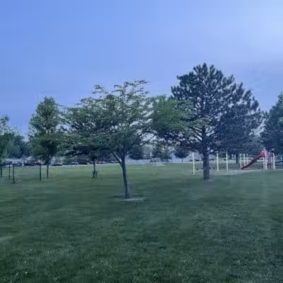 Ferndale Dog Park (Membership Required) - Ferndale, MI