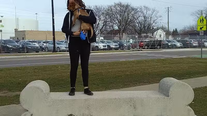 Ferndale Dog Park (Membership Required) - Ferndale, MI