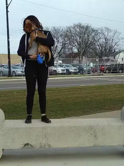 Ferndale Dog Park (Membership Required) - Ferndale, MI