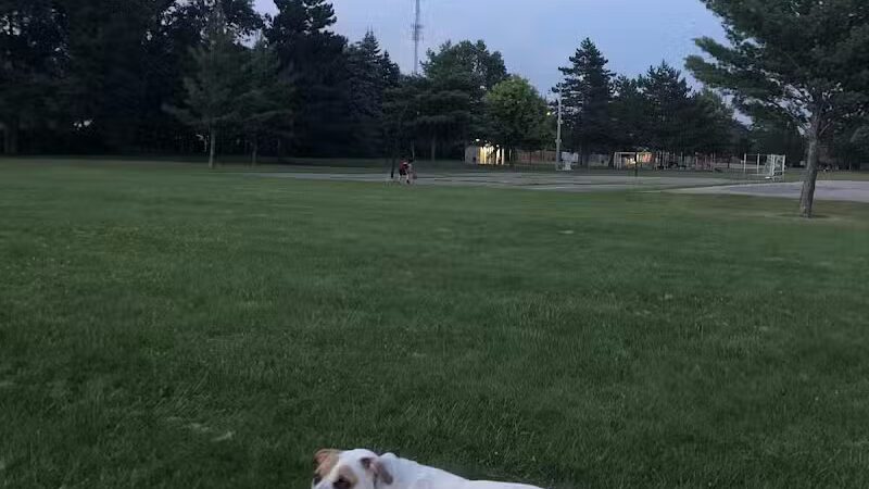 Ferndale Dog Park (Membership Required) - Ferndale, MI