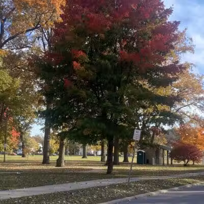 Garbutt Park - Ferndale,