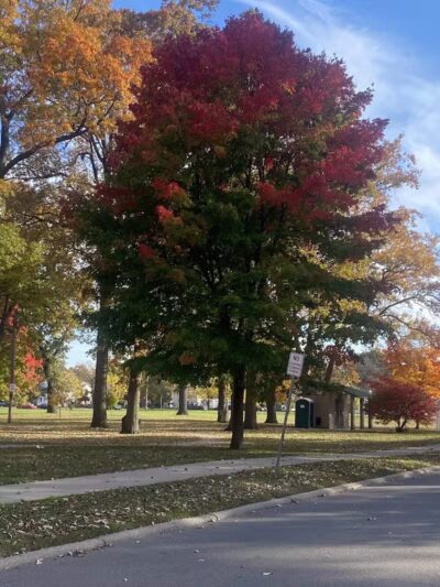 Garbutt Park - Ferndale,