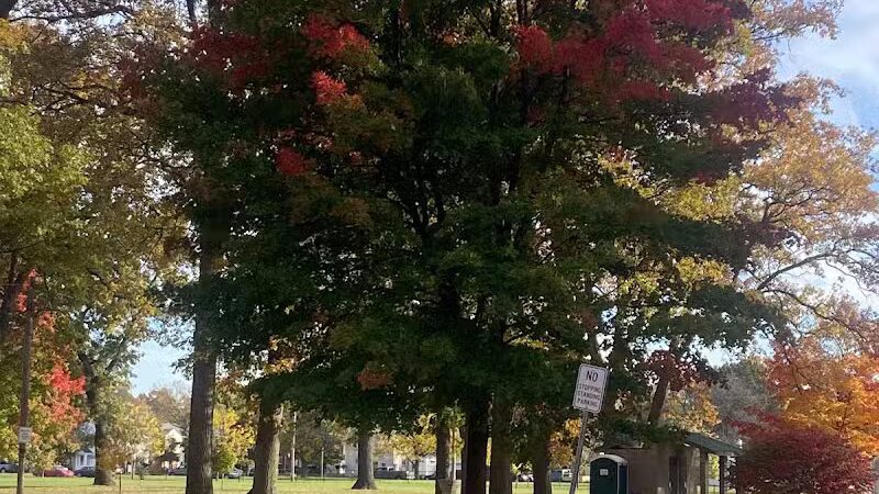 Garbutt Park - Ferndale,