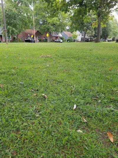 Garbutt Park - Ferndale,