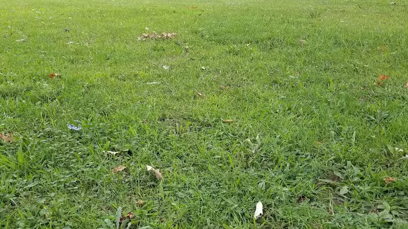 Garbutt Park - Ferndale,