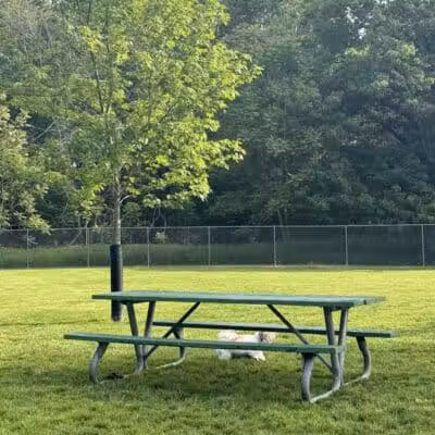Dog Park at Coast Guard Park - Ferrysburg,