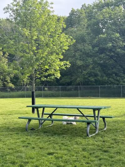 Dog Park at Coast Guard Park - Ferrysburg,
