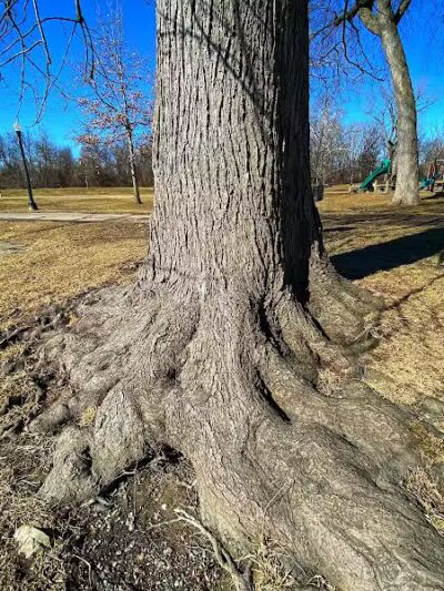 Flat Rock Dam - Flat Rock,