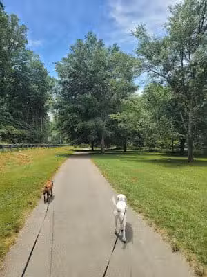 The Park at Flat Rock - Flat Rock, NC