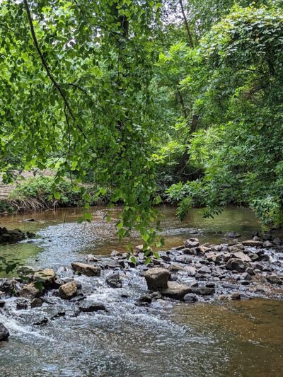 The Park at Flat Rock - Flat Rock, NC