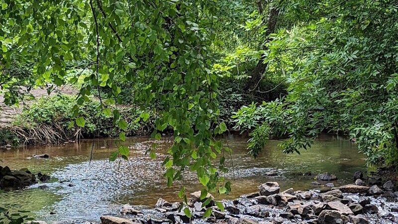 The Park at Flat Rock - Flat Rock, NC