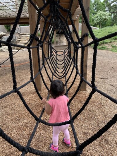 The Park at Flat Rock - Flat Rock, NC