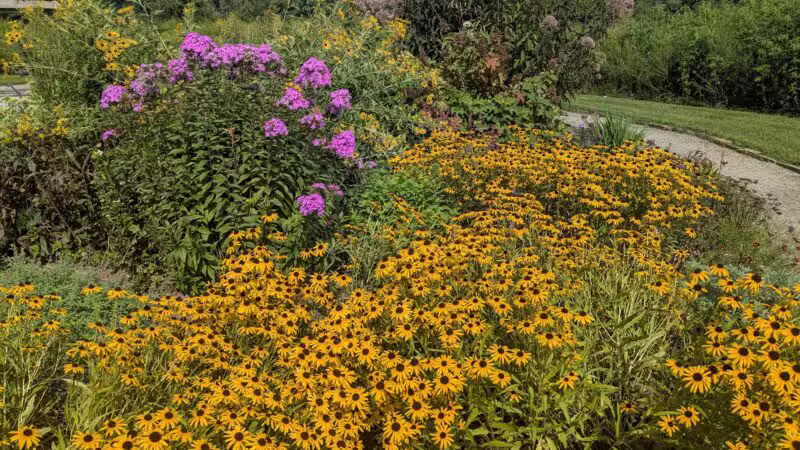 The Park at Flat Rock - Flat Rock, NC