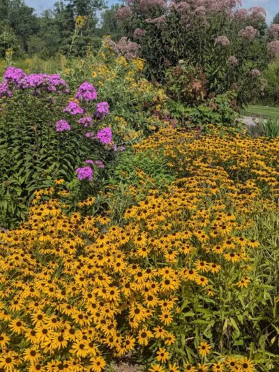 The Park at Flat Rock - Flat Rock, NC