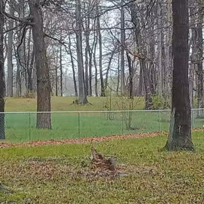 Bassett Park - Flint, MI
