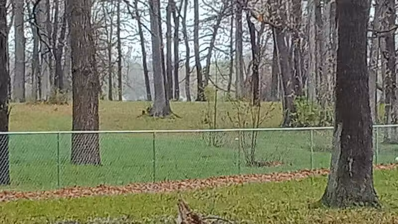 Bassett Park - Flint, MI