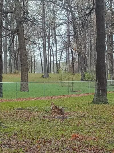 Bassett Park - Flint, MI