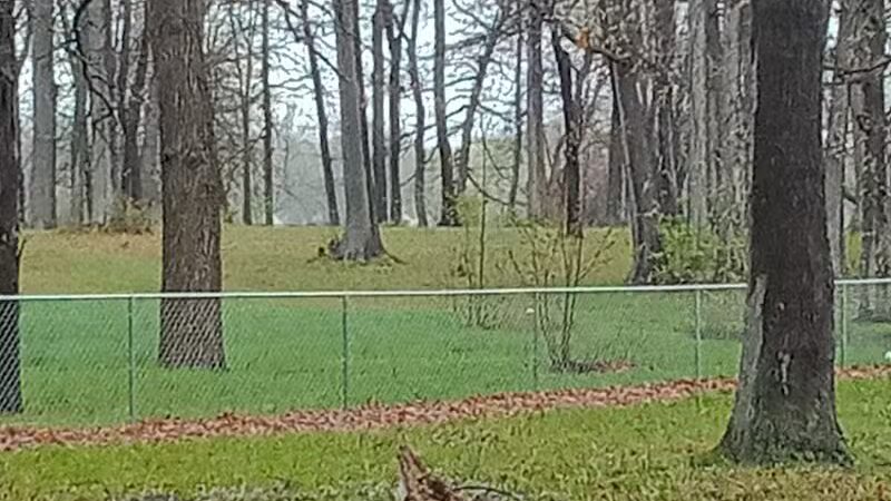 Bassett Park - Flint, MI