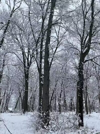 Bassett Park - Flint, MI