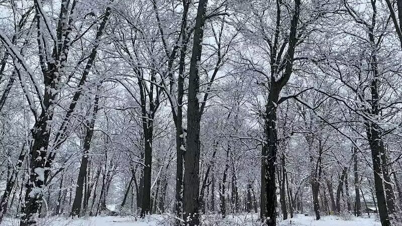 Bassett Park - Flint, MI