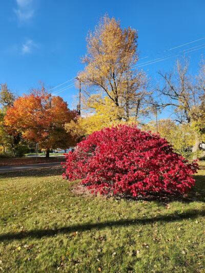 Brennan Park - Flint, MI