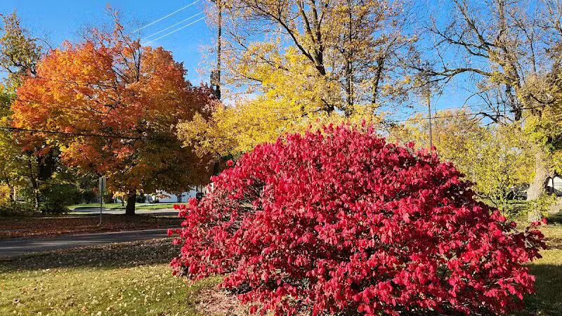 Brennan Park - Flint, MI