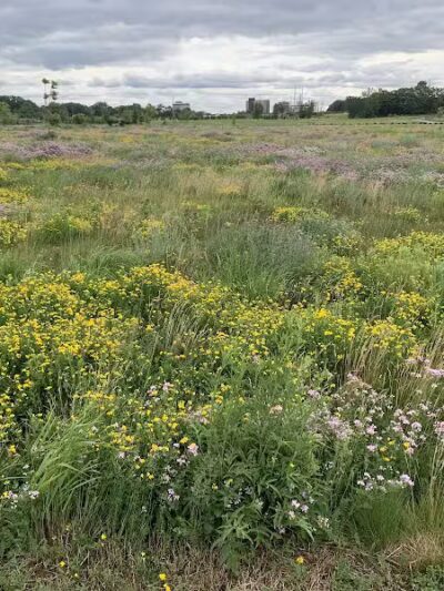 Chevy Commons County Park - Flint, MI