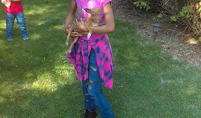 Farnumwood Park - Flint, MI