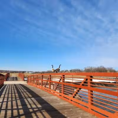 Genesee Valley Trail - Flint, MI