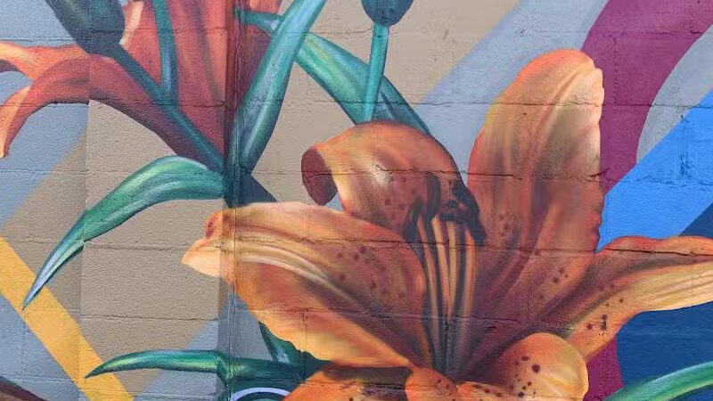 Genesee Valley Trail - Flint, MI