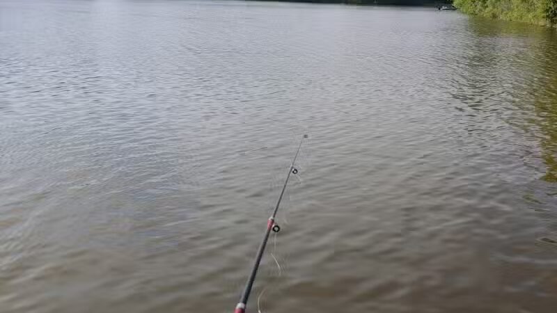 Genesee Veterans Park - Flint,