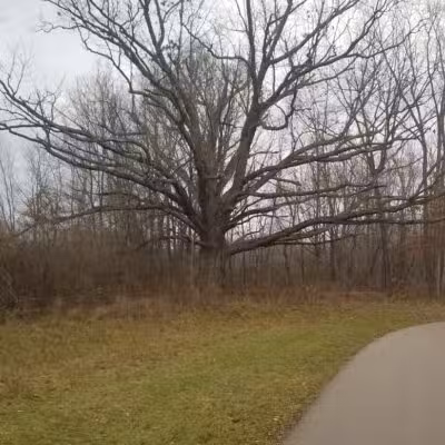 Genesee Veterans Park - Flint,