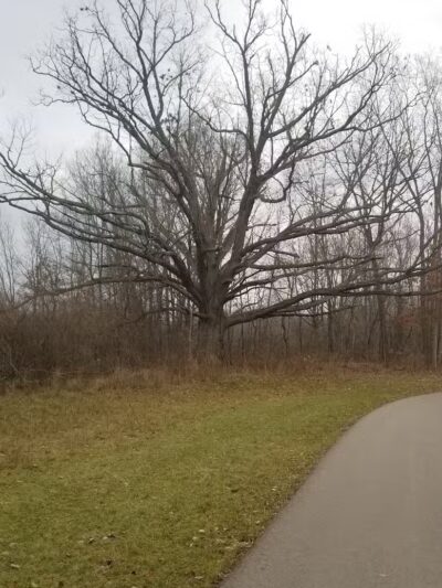 Genesee Veterans Park - Flint,