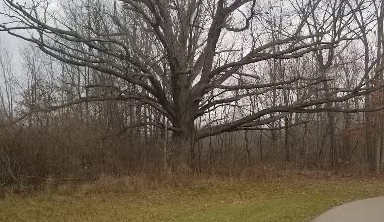Genesee Veterans Park - Flint,