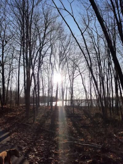 Genesee Veterans Park - Flint,